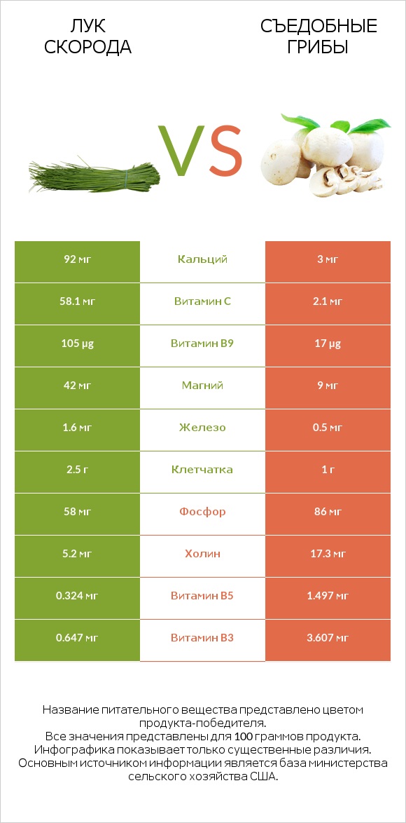 Лук скорода vs Съедобные грибы infographic