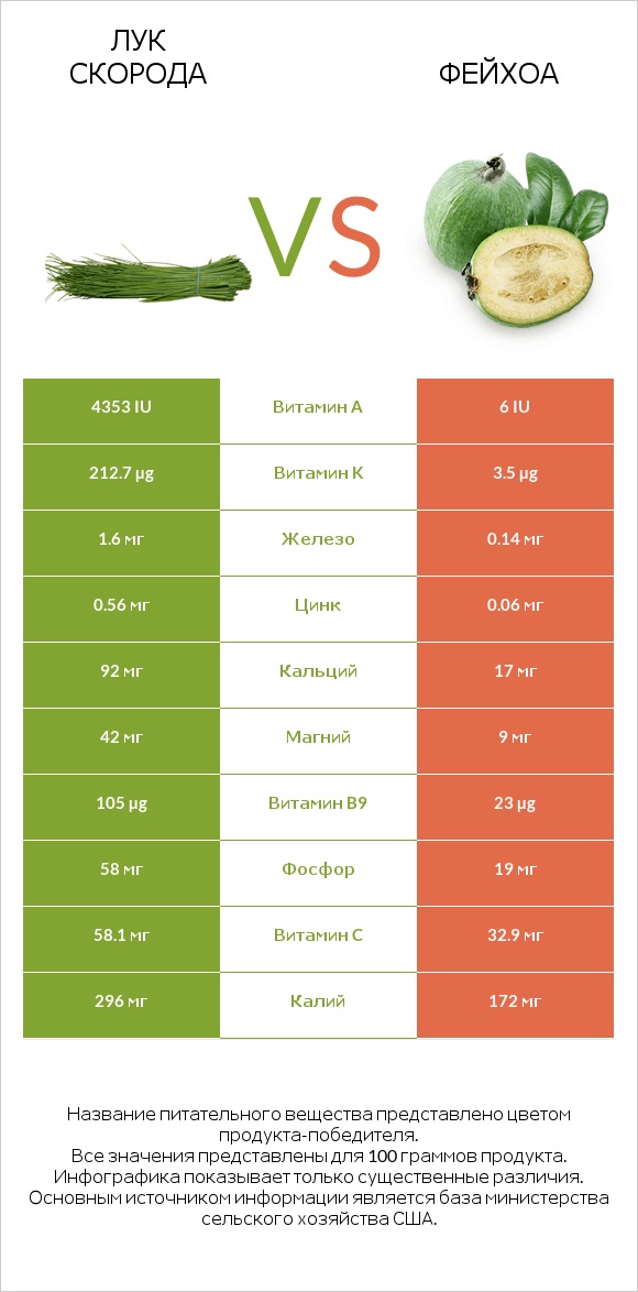Лук скорода vs Фейхоа infographic