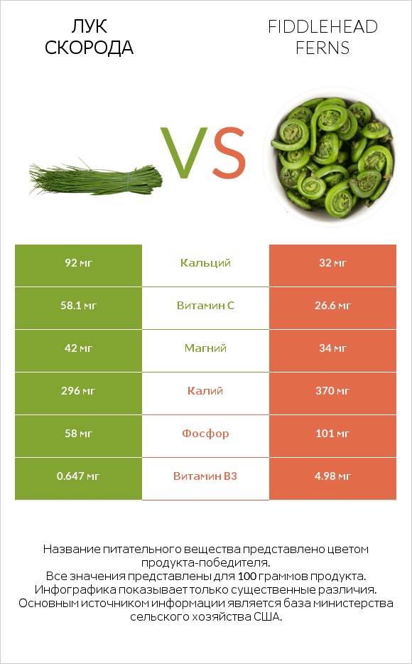 Лук скорода vs Fiddlehead ferns infographic