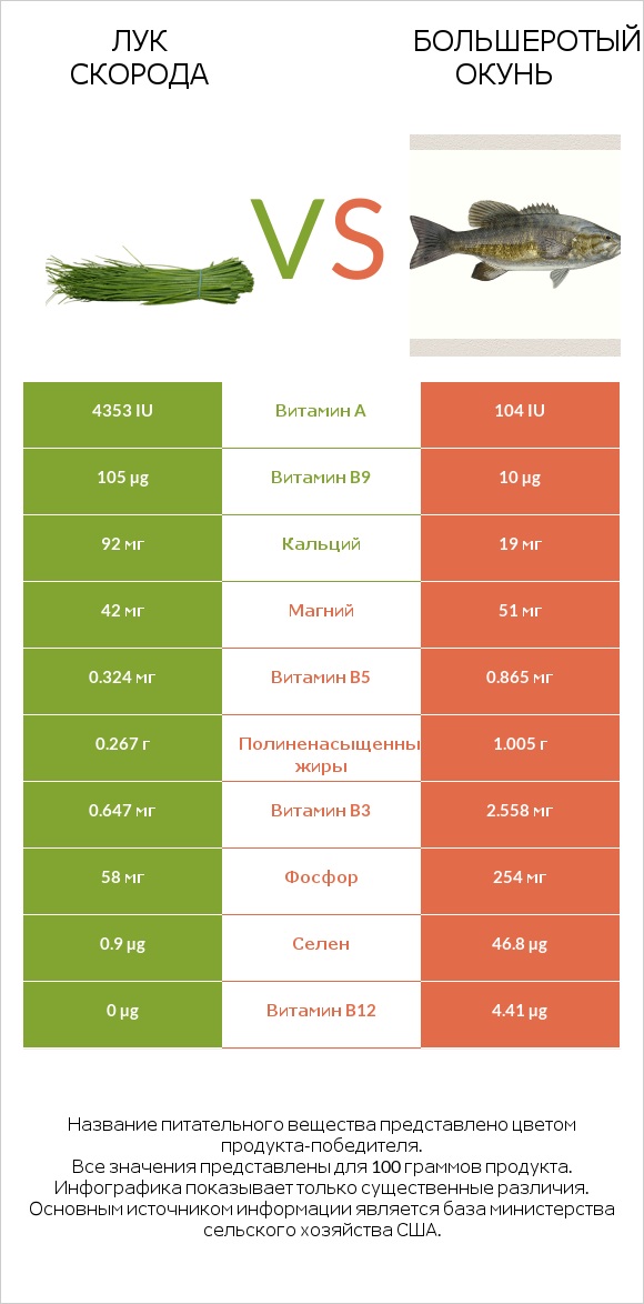 Лук скорода vs Большеротый окунь infographic