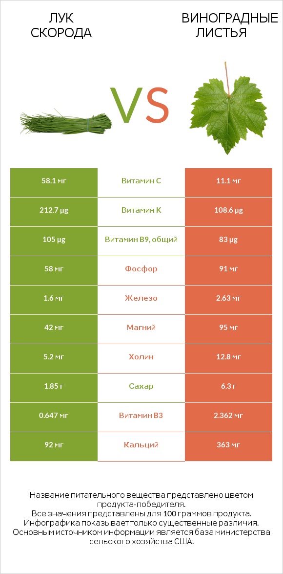 Лук скорода vs Виноградные листья infographic