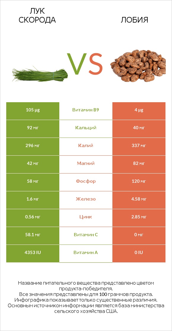 Лук скорода vs Лобия infographic