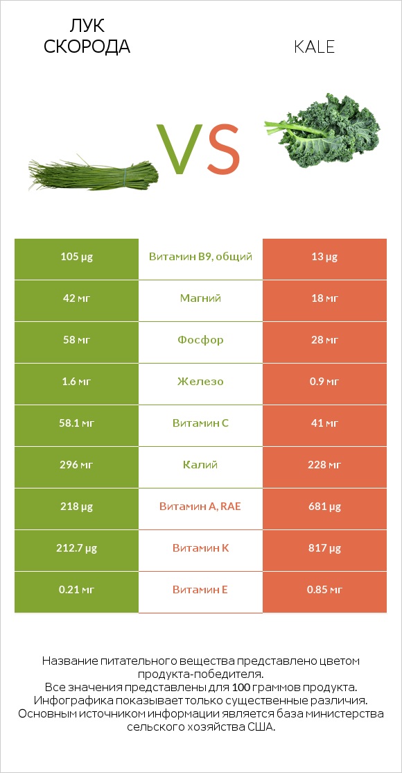 Лук скорода vs Kale infographic