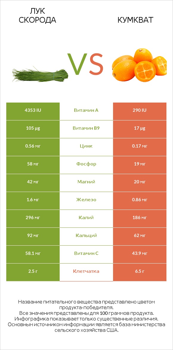 Лук скорода vs Кумкват infographic