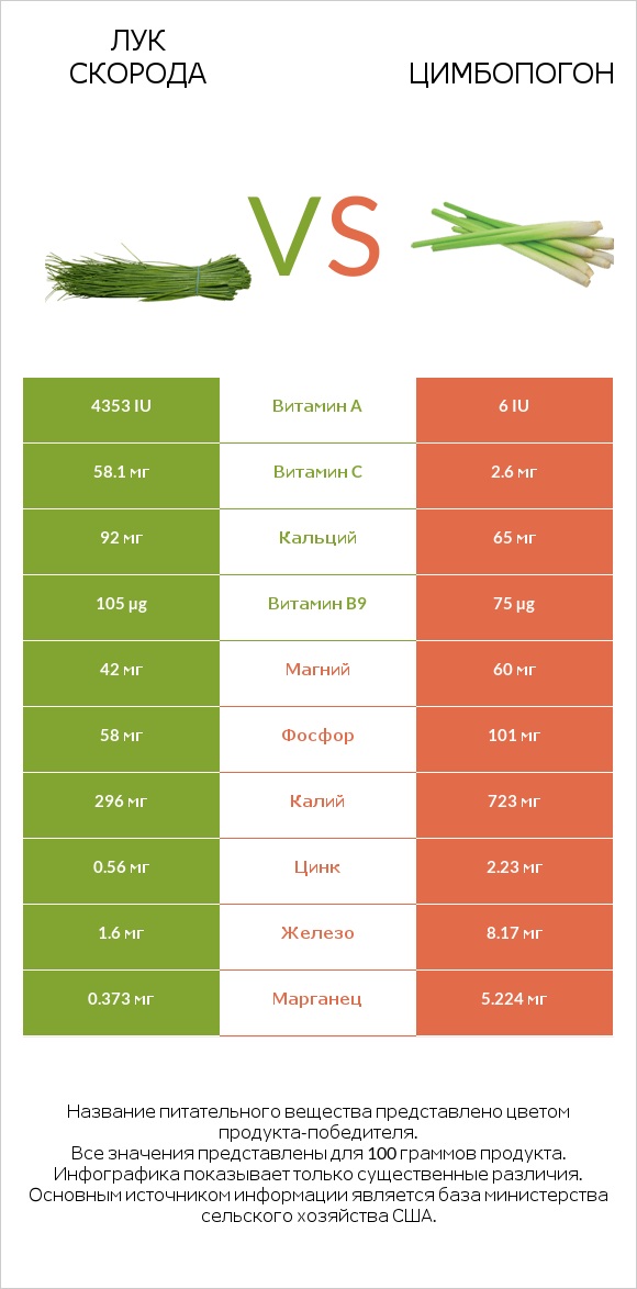 Лук скорода vs Цимбопогон infographic