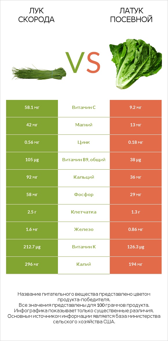 Лук скорода vs Латук посевной infographic