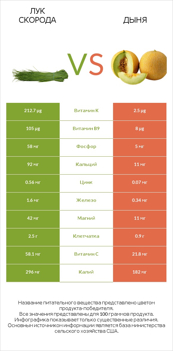 Лук скорода vs Дыня infographic