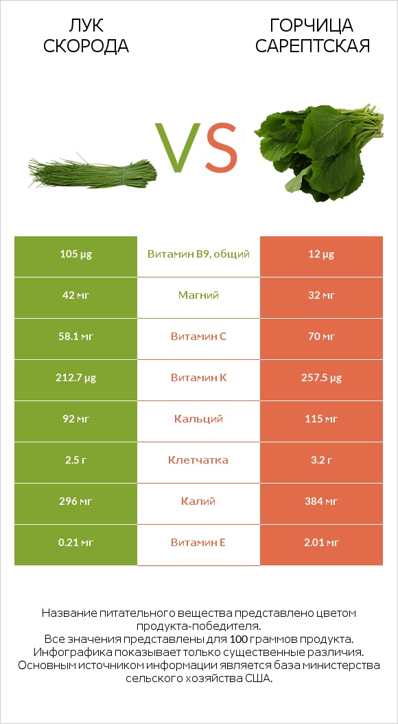 Лук скорода vs Горчица сарептская infographic