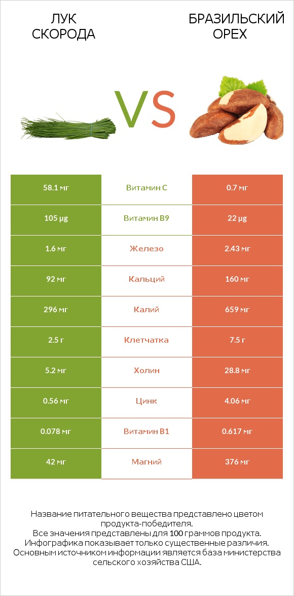 Лук скорода vs Бразильский орех infographic