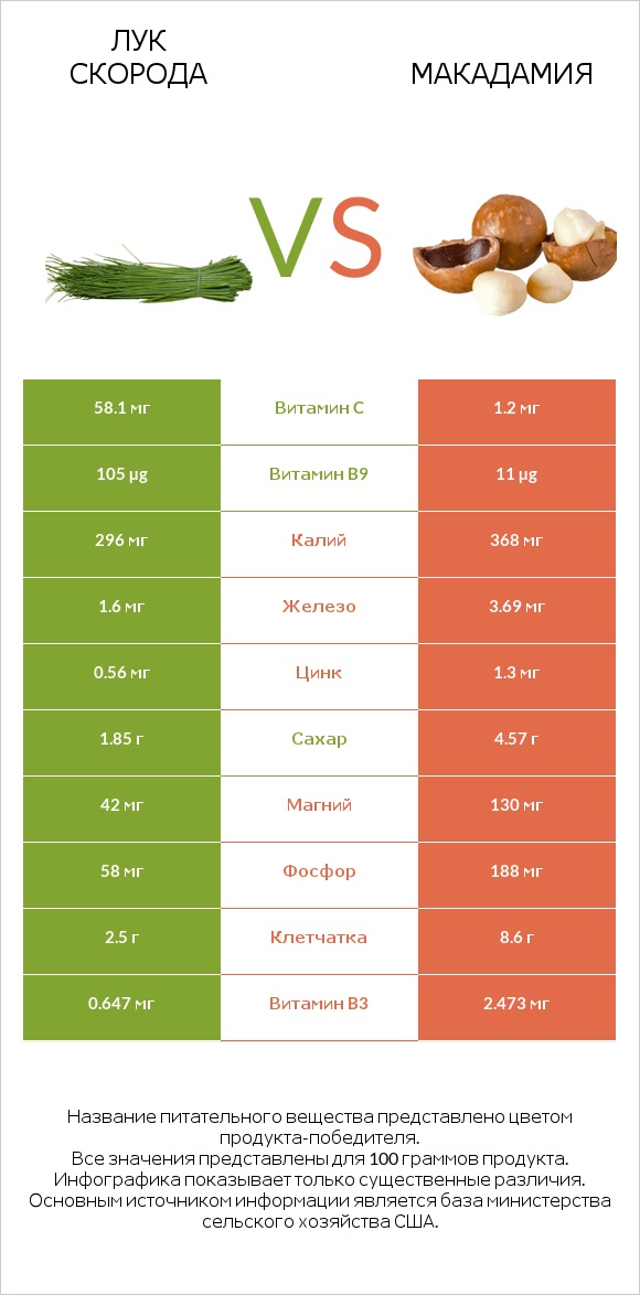 Лук скорода vs Макадамия infographic