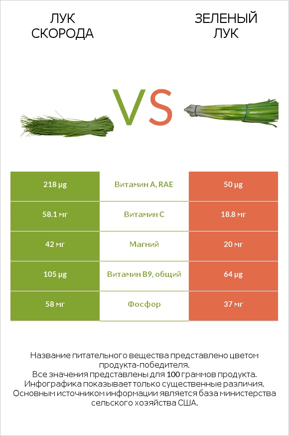 Лук скорода vs Зеленый лук infographic