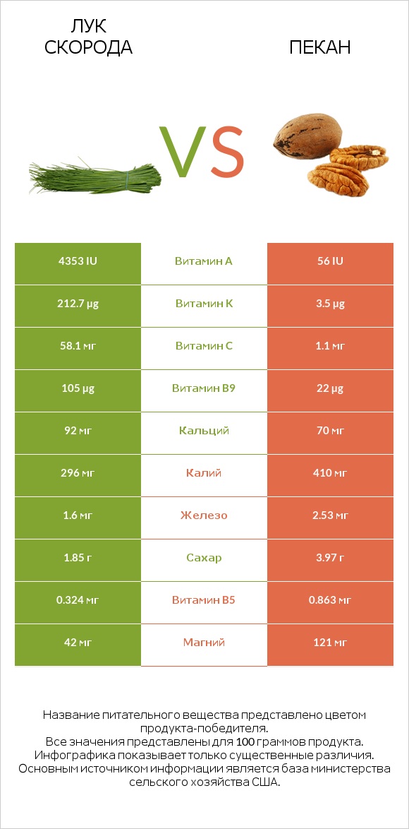 Лук скорода vs Пекан infographic