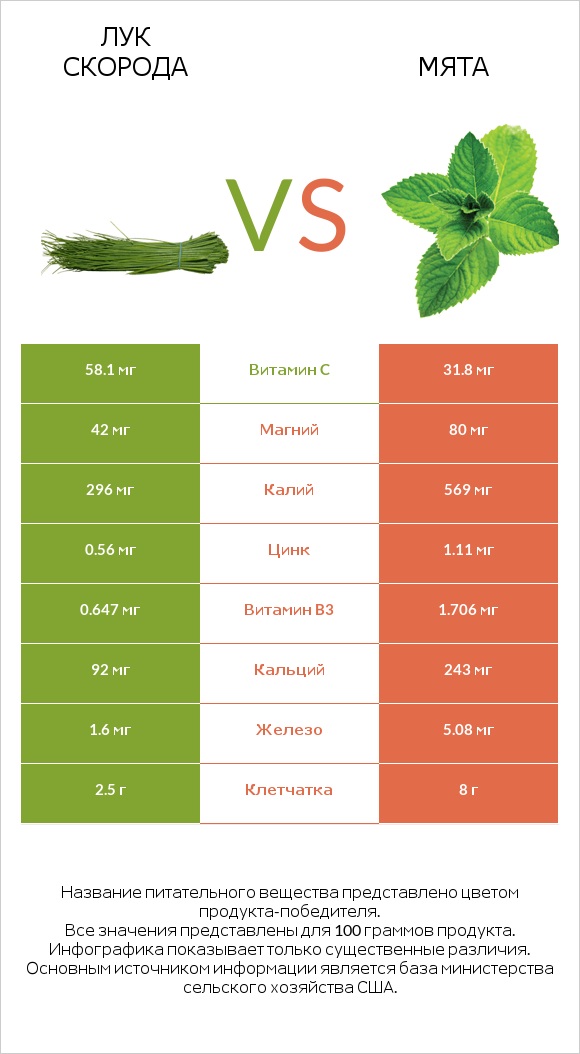 Лук скорода vs Мята infographic