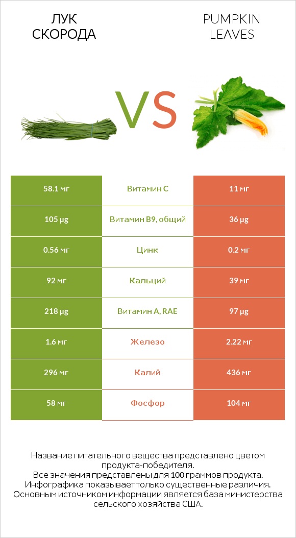 Лук скорода vs Pumpkin leaves infographic