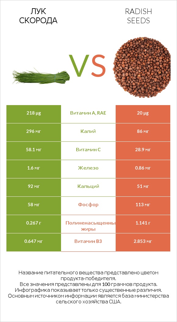 Лук скорода vs Radish seeds infographic