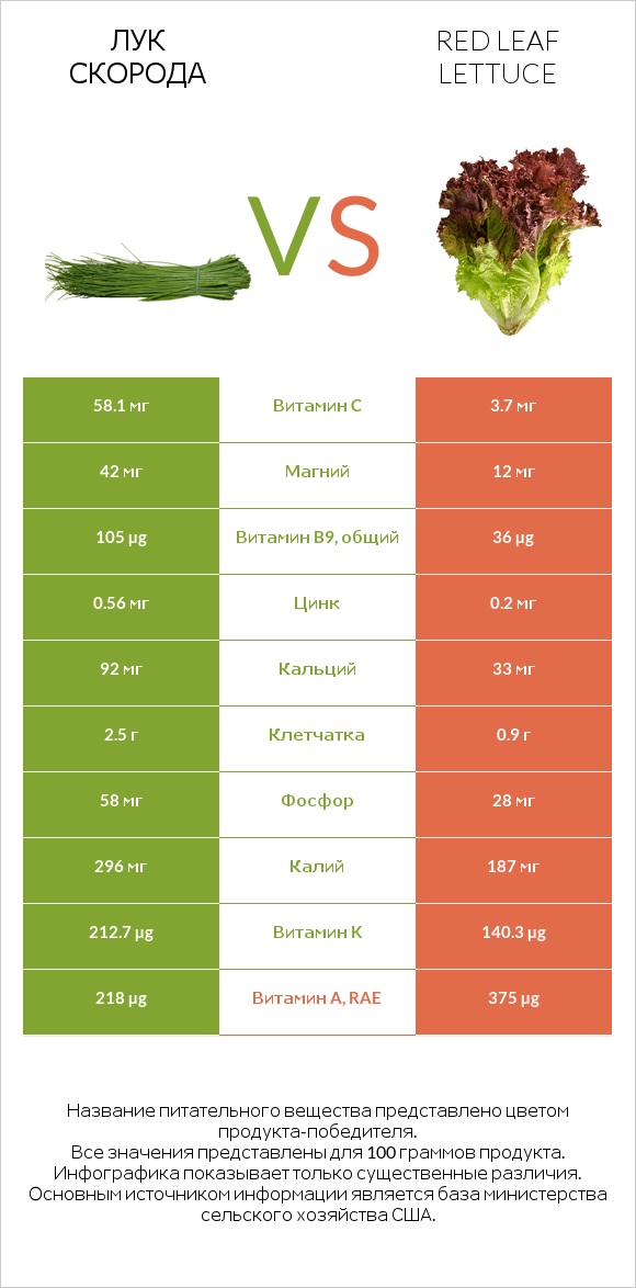 Лук скорода vs Red leaf lettuce infographic