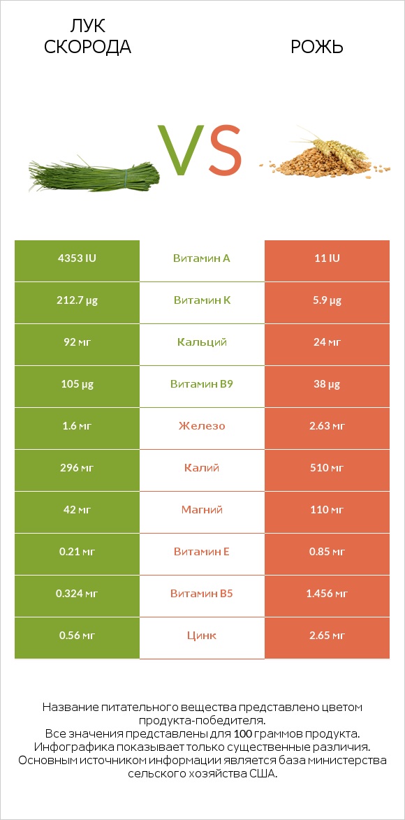 Лук скорода vs Рожь infographic