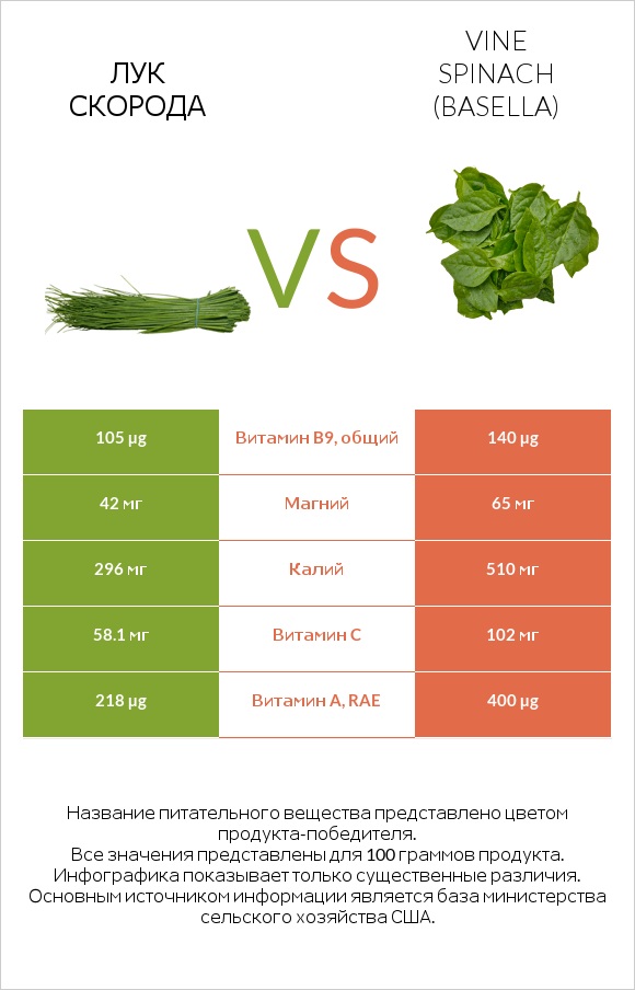 Лук скорода vs Vine spinach (basella) infographic