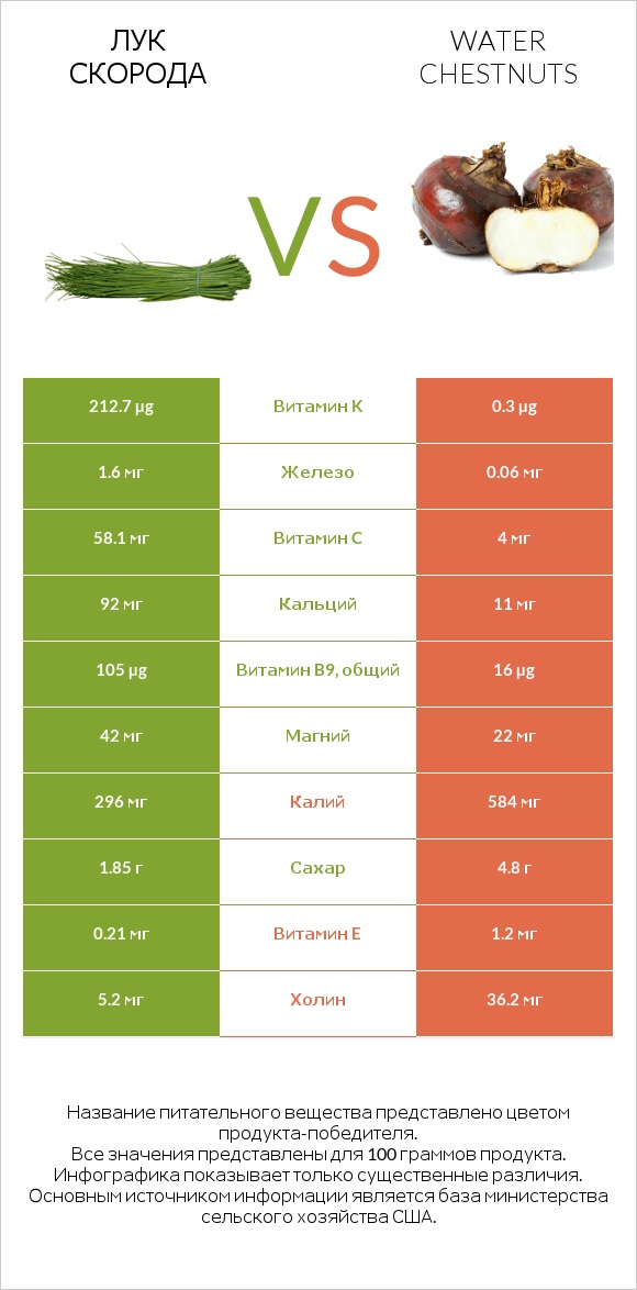Лук скорода vs Water chestnuts infographic