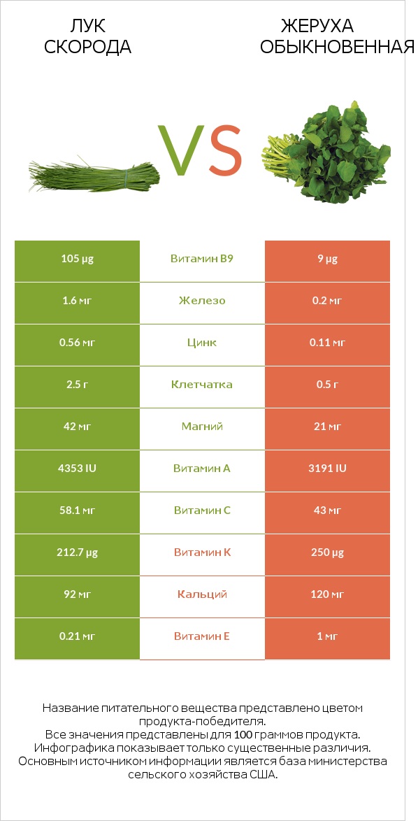 Лук скорода vs Жеруха обыкновенная infographic