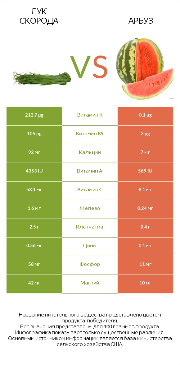 Лук скорода vs Арбуз infographic