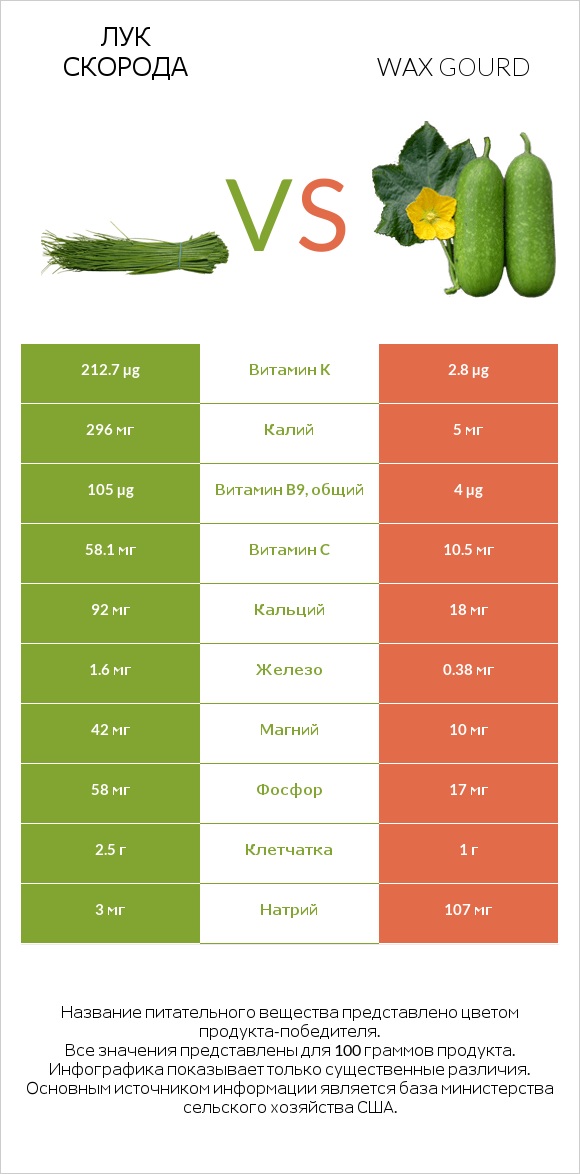 Лук скорода vs Wax gourd infographic
