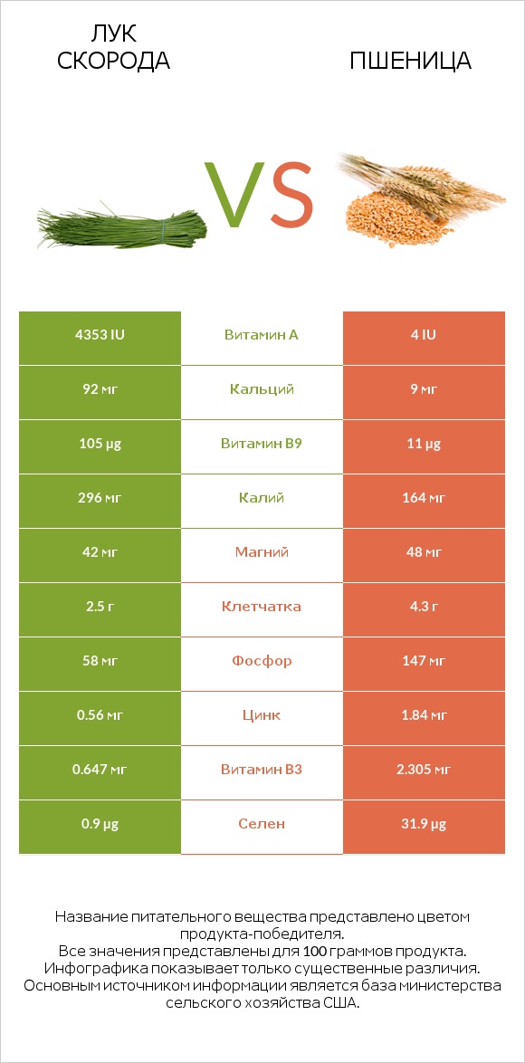 Лук скорода vs Пшеница infographic