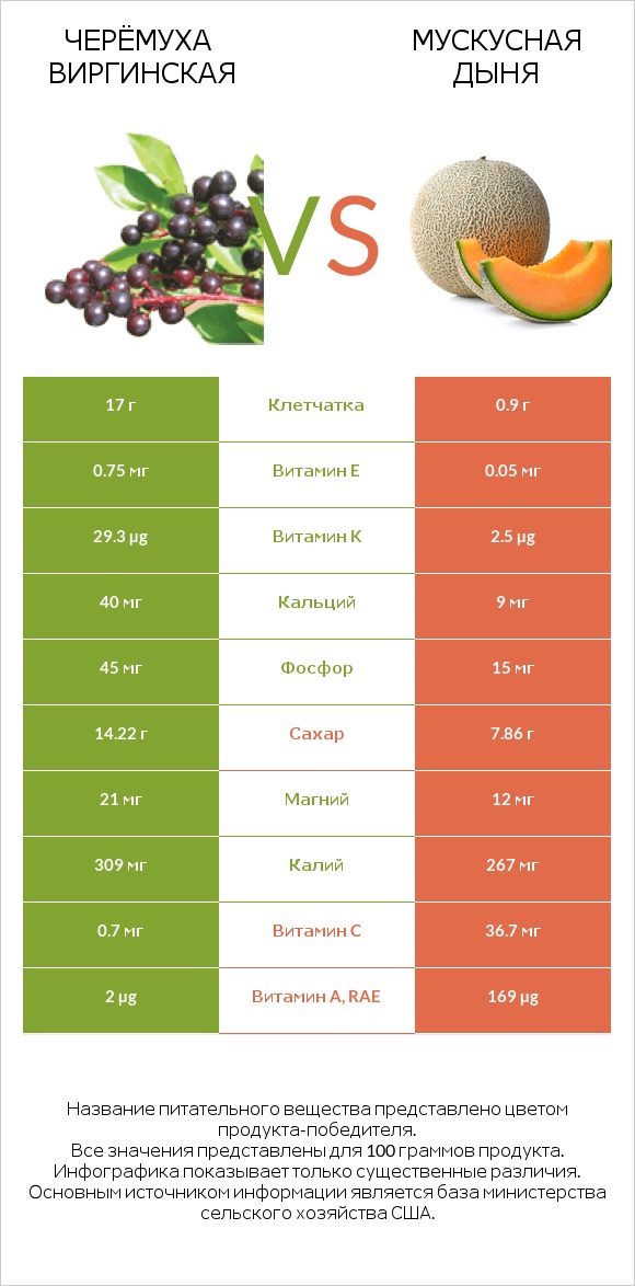 Черёмуха виргинская vs Мускусная дыня infographic