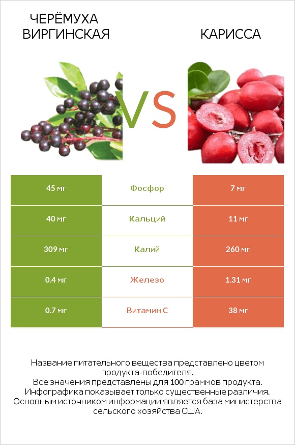 Черёмуха виргинская vs Карисса infographic