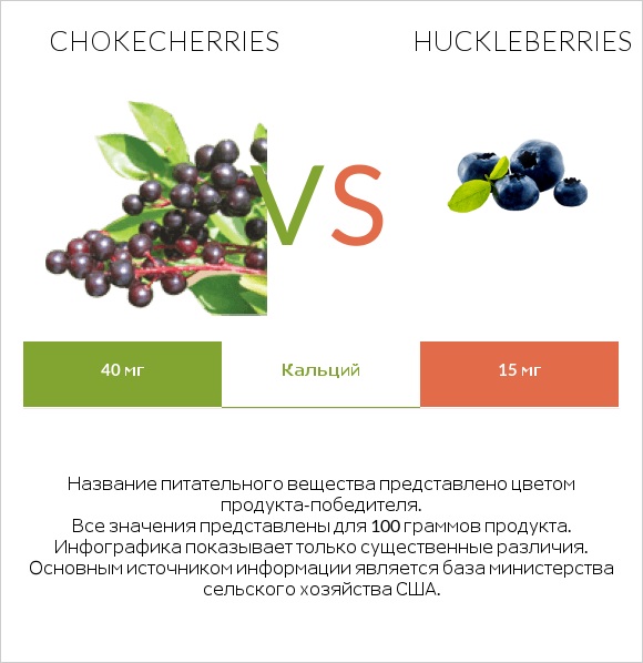 Chokecherries vs Huckleberries infographic