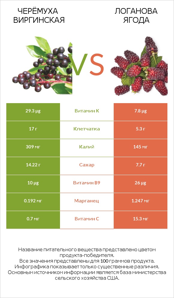 Черёмуха виргинская vs Логанова ягода infographic