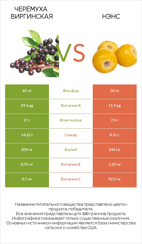 Черёмуха виргинская vs Нэнс infographic