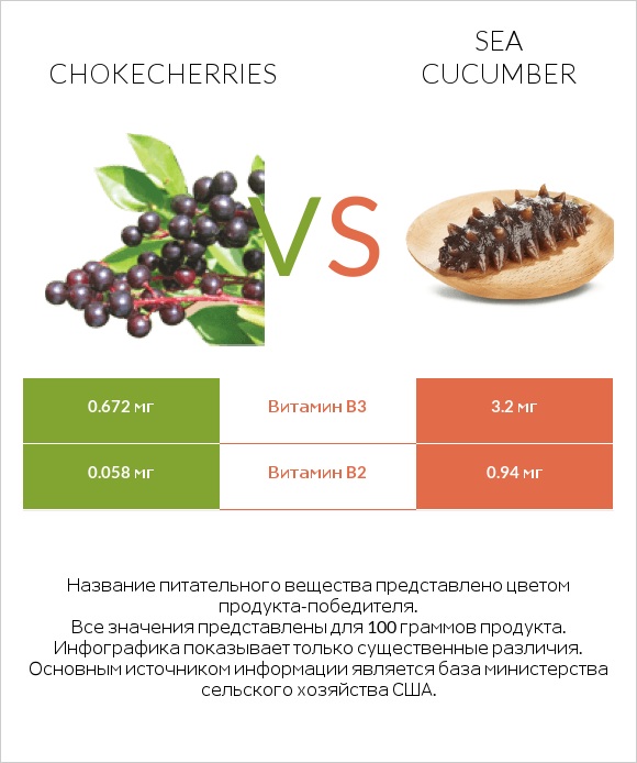Chokecherries vs Sea cucumber infographic
