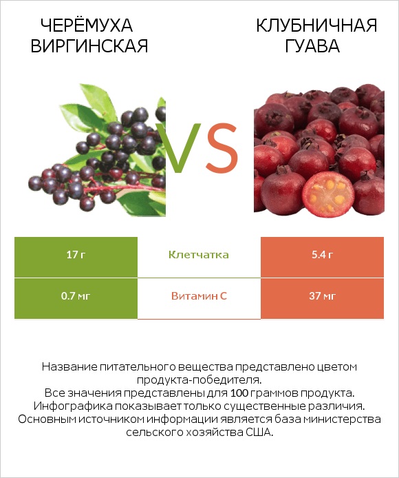 Черёмуха виргинская vs Клубничная гуава infographic