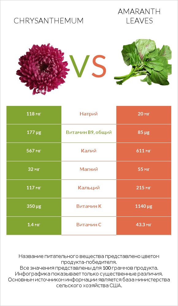 Chrysanthemum vs Amaranth leaves infographic