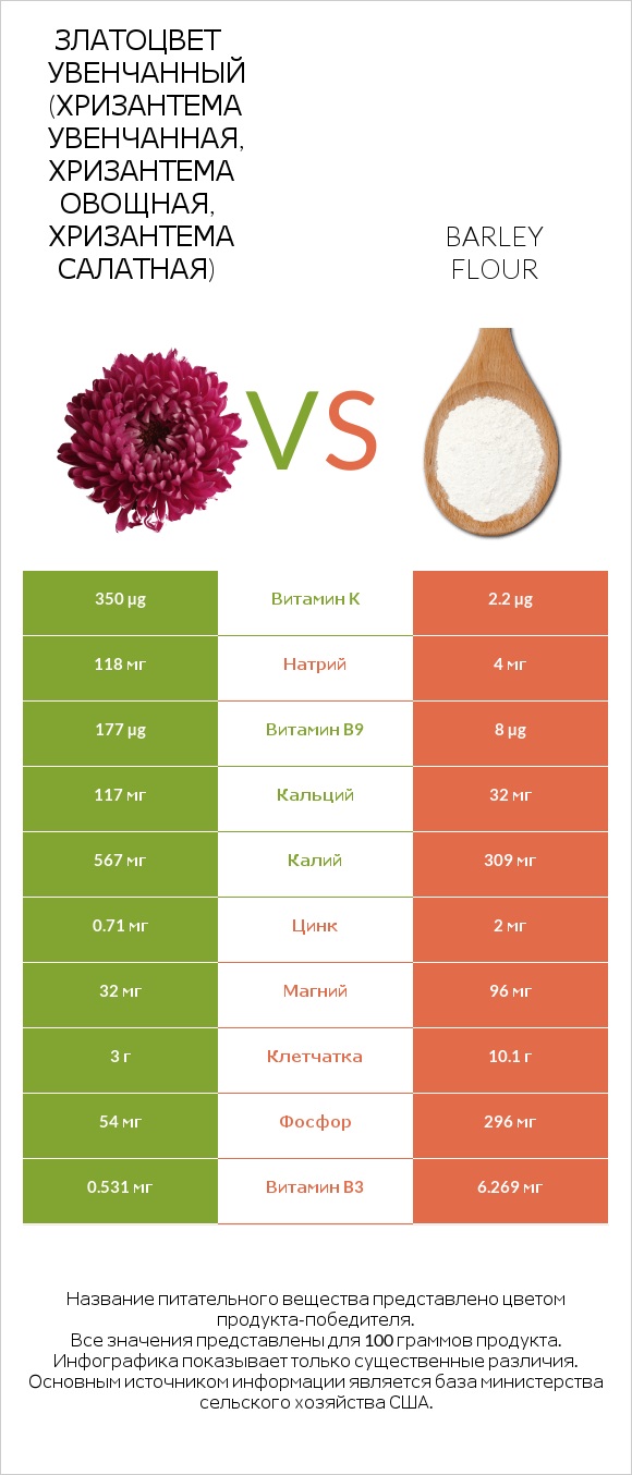 Златоцвет увенчанный (хризантема увенчанная, хризантема овощная, хризантема салатная) vs Barley flour infographic