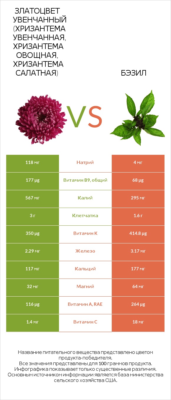 Златоцвет увенчанный (хризантема увенчанная, хризантема овощная, хризантема салатная) vs Бэзил infographic