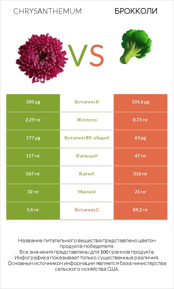Chrysanthemum vs Брокколи infographic