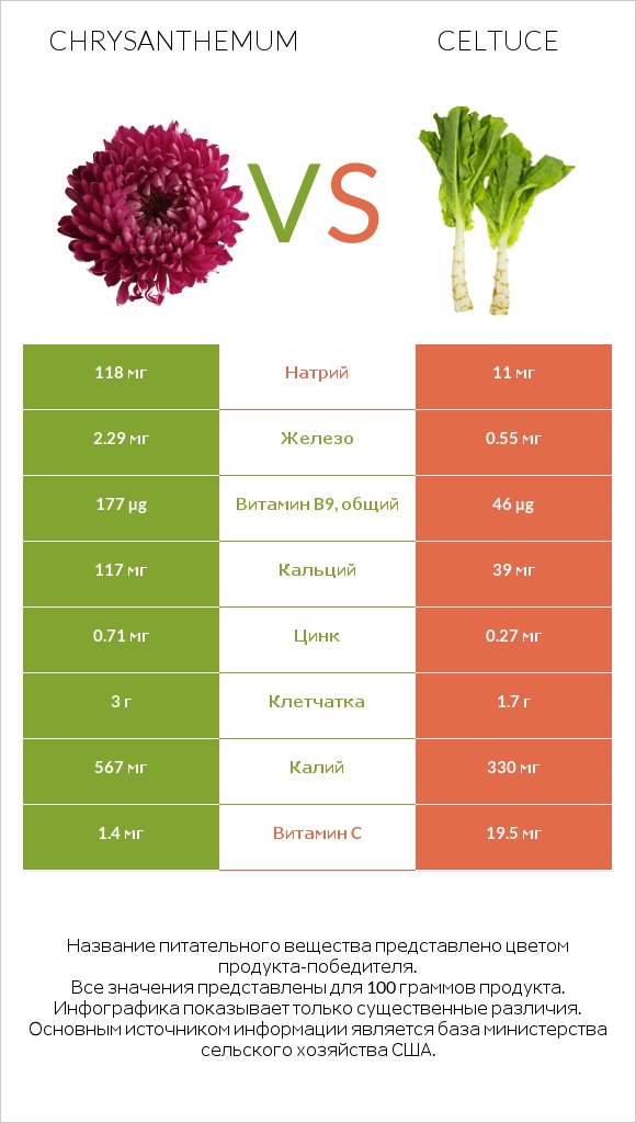 Chrysanthemum vs Celtuce infographic
