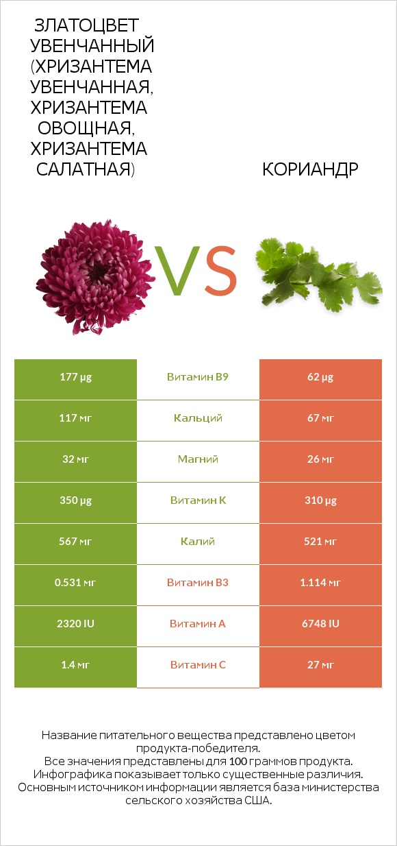 Златоцвет увенчанный (хризантема увенчанная, хризантема овощная, хризантема салатная) vs Кориандр infographic