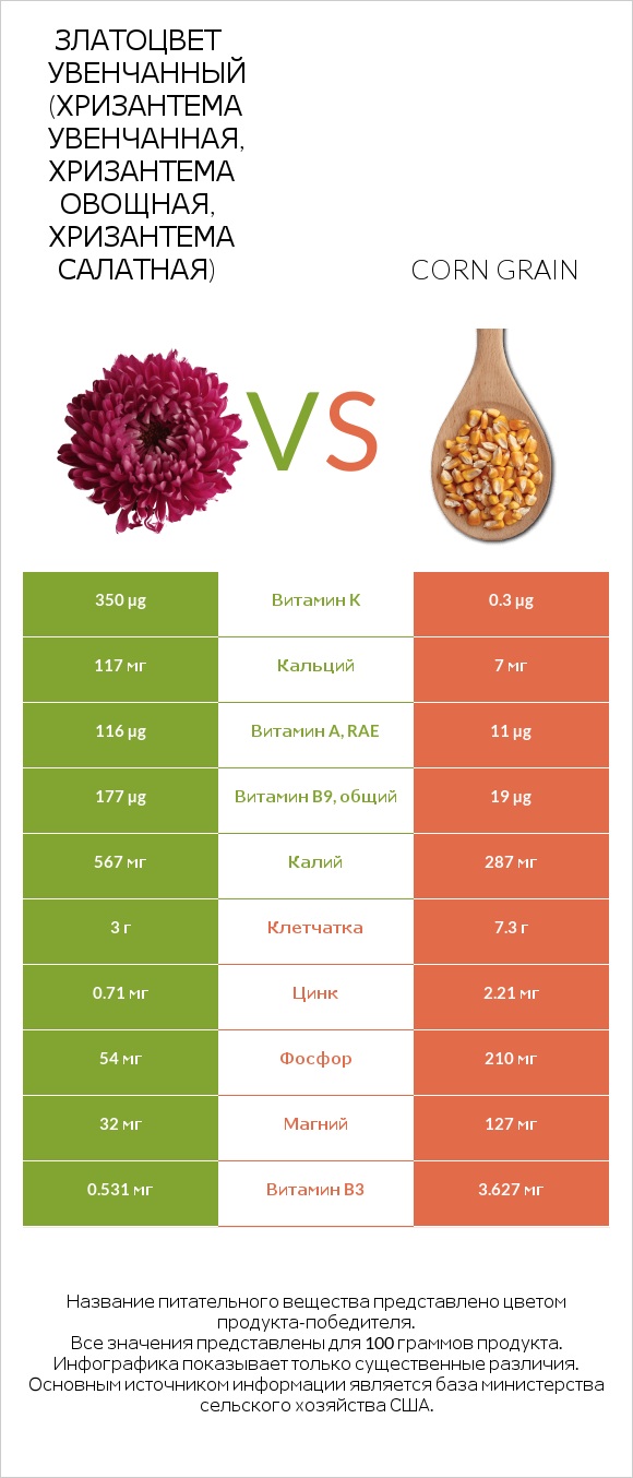 Златоцвет увенчанный (хризантема увенчанная, хризантема овощная, хризантема салатная) vs Corn grain infographic