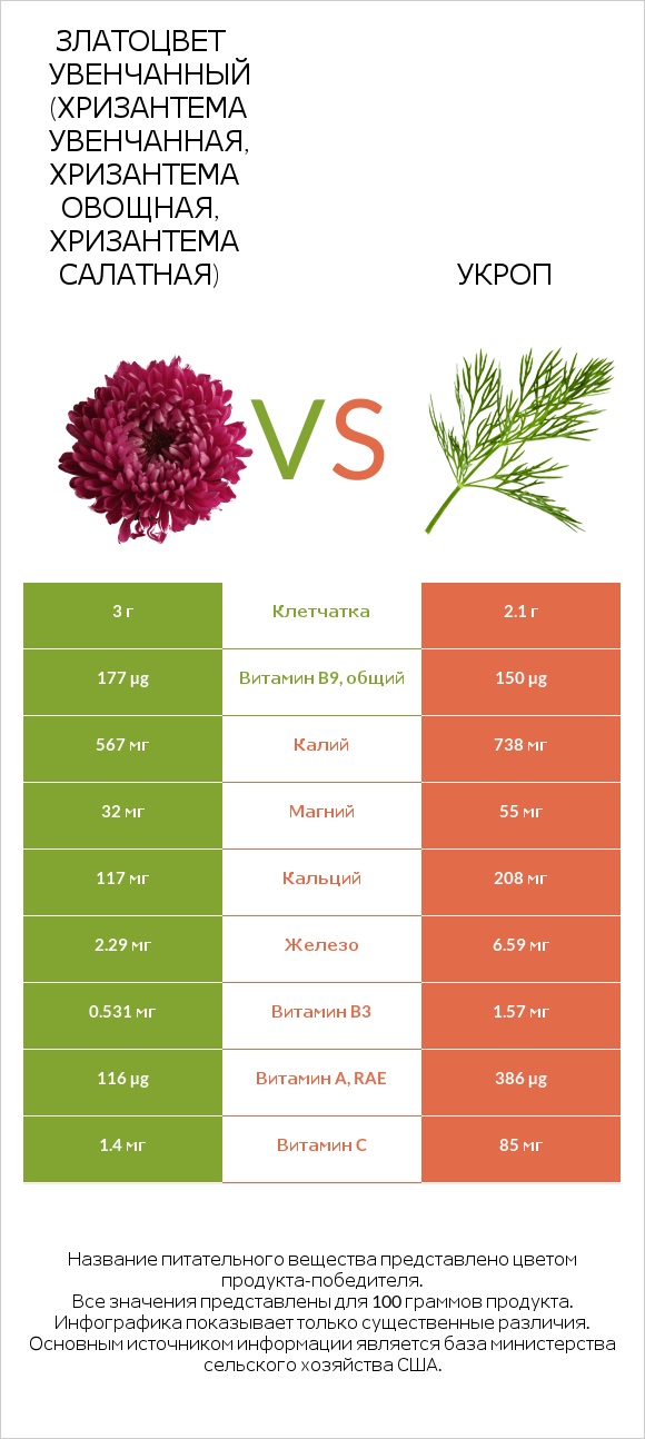 Златоцвет увенчанный (хризантема увенчанная, хризантема овощная, хризантема салатная) vs Укроп infographic