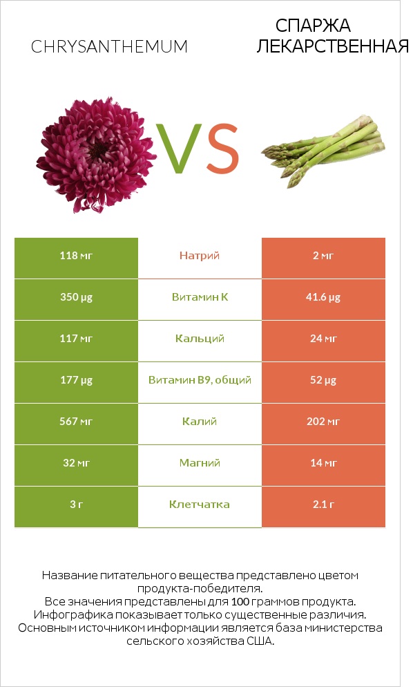 Chrysanthemum vs Спаржа лекарственная infographic
