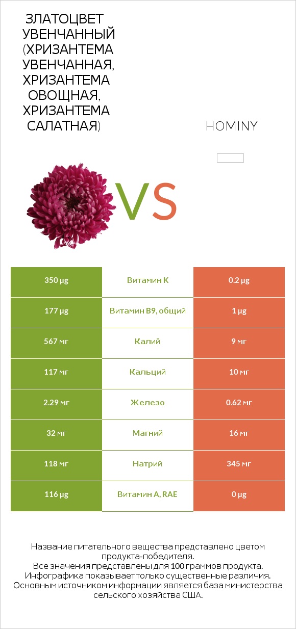 Златоцвет увенчанный (хризантема увенчанная, хризантема овощная, хризантема салатная) vs Hominy infographic