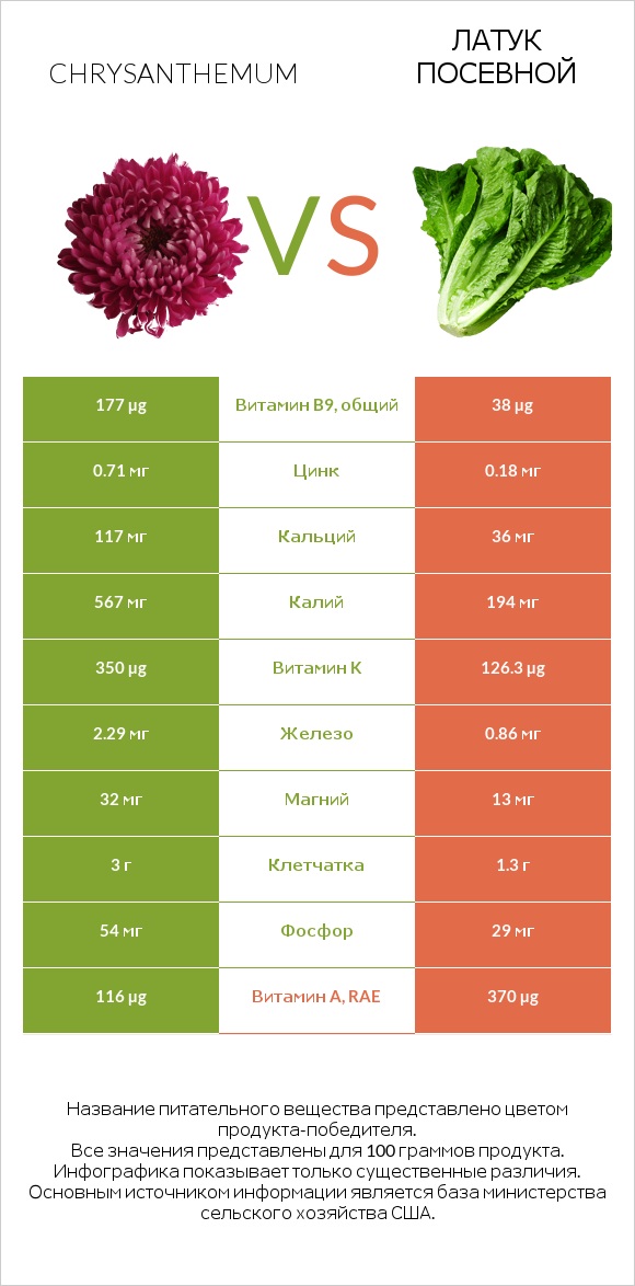 Златоцвет увенчанный (хризантема увенчанная, хризантема овощная, хризантема салатная) vs Латук посевной infographic