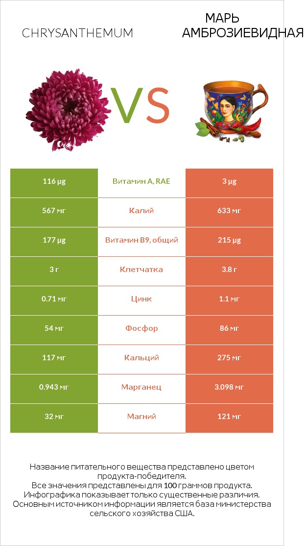 Chrysanthemum vs Марь амброзиевидная infographic