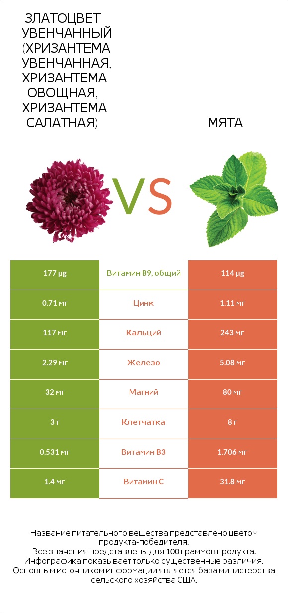 Златоцвет увенчанный (хризантема увенчанная, хризантема овощная, хризантема салатная) vs Мята infographic
