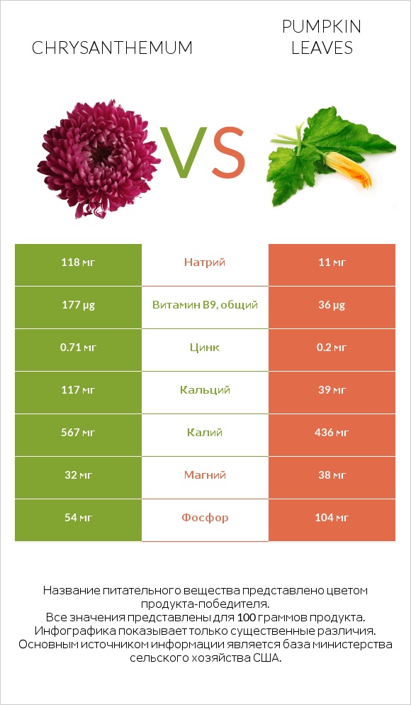 Chrysanthemum vs Pumpkin leaves infographic