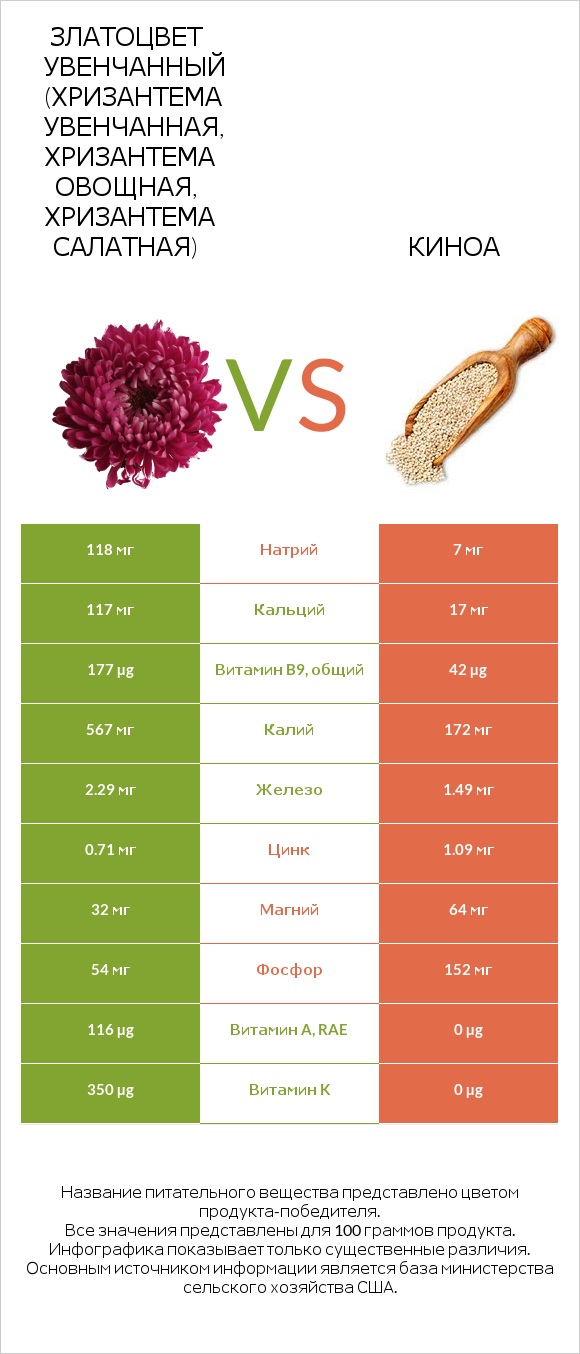 Златоцвет увенчанный (хризантема увенчанная, хризантема овощная, хризантема салатная) vs Киноа infographic