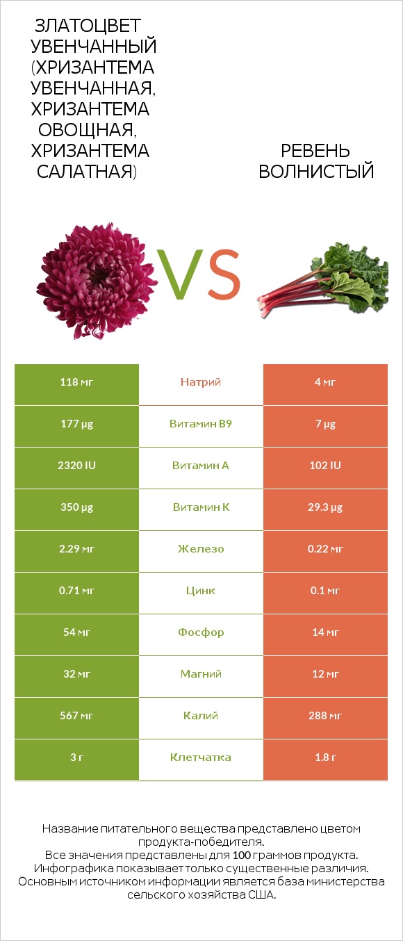 Златоцвет увенчанный (хризантема увенчанная, хризантема овощная, хризантема салатная) vs Ревень волнистый infographic